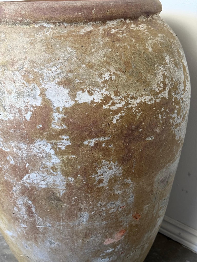 Antique Monumental Olive Jar, Terracotta with Weathered Patina