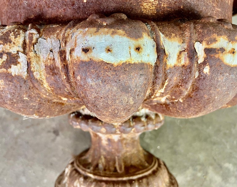 Pair of 19th Century French Cast Iron Urns