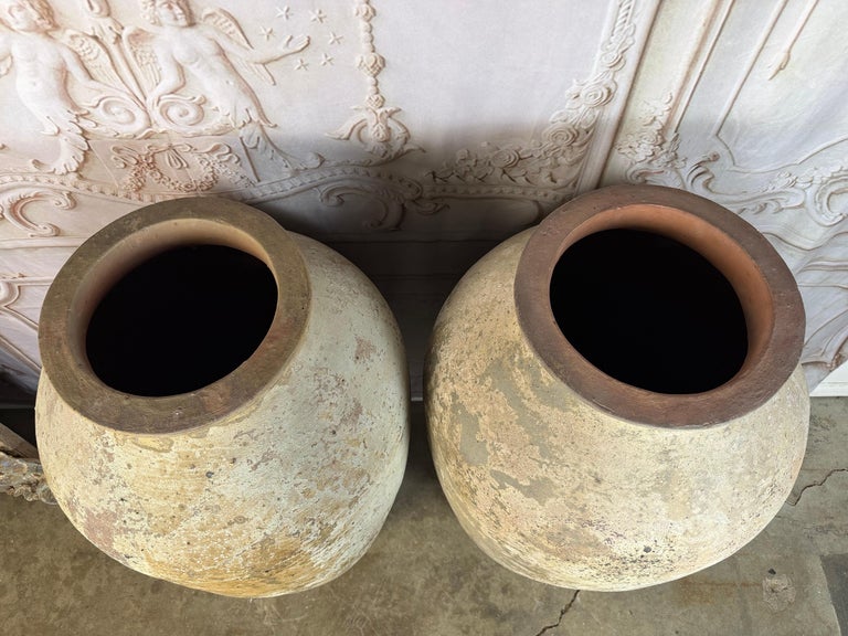 Pair of Monumental Terracotta Olive Jars with Weathered Patina