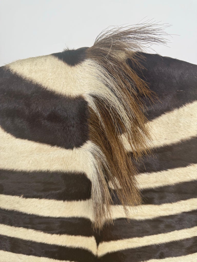 19th Century Italian Armchair with Zebra Upholstery