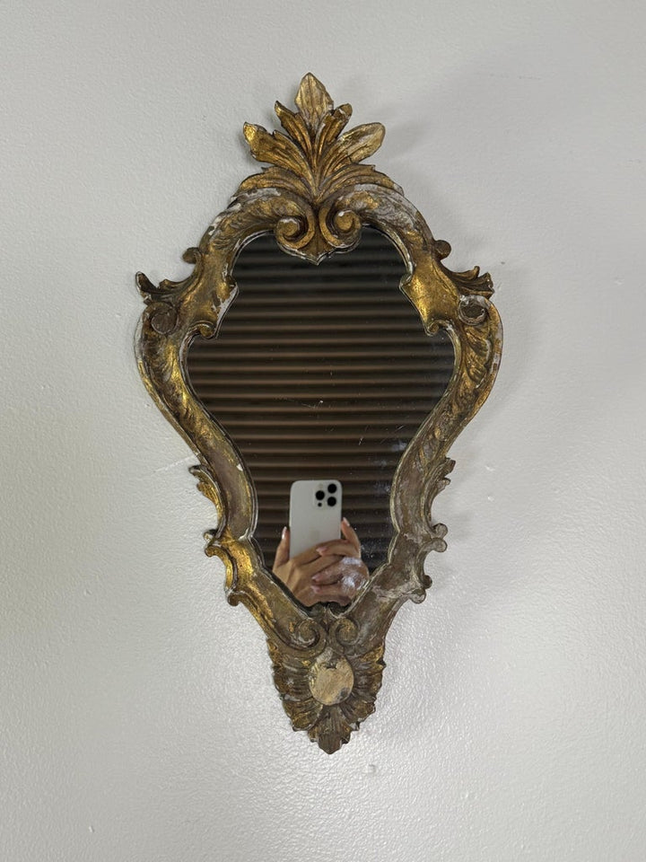 Antique Italian Rococo Giltwood Wall Mirror, Early 19th Century
