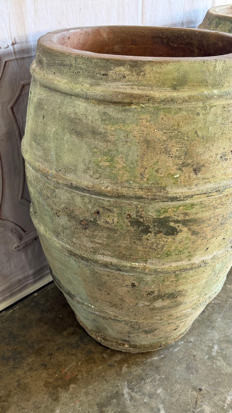 Mediterranean Barrel Olive Jars, Patinated Terracotta