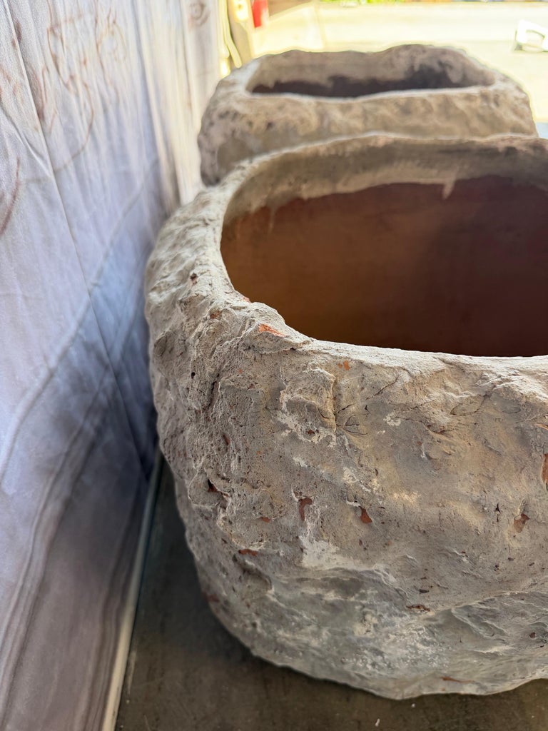 Pair of Rustic Style Terra Cotta Planters with Organic Form
