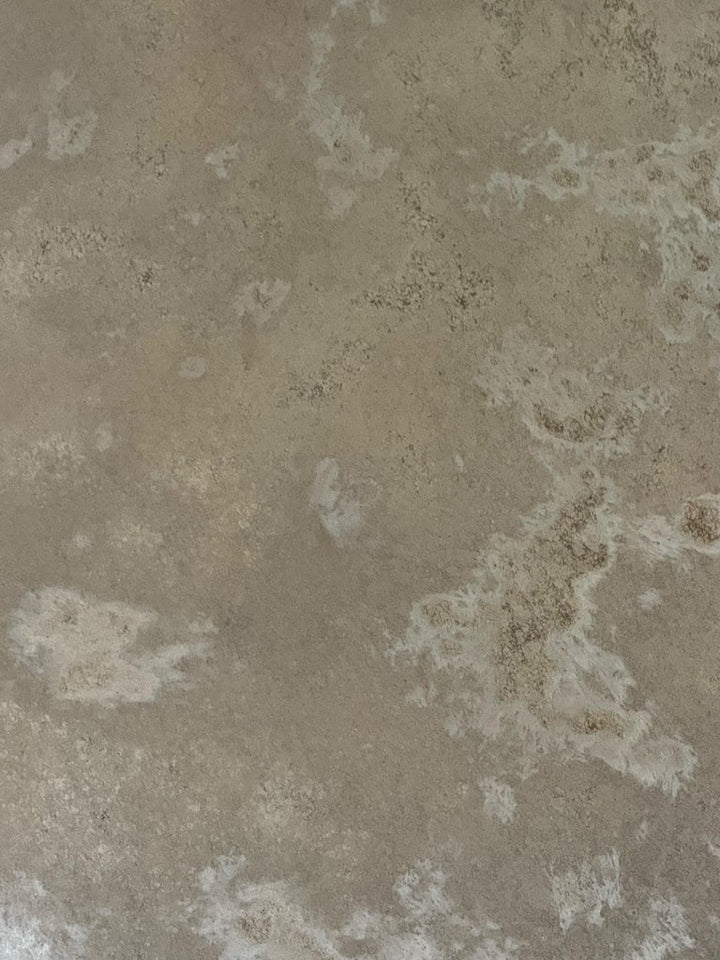 Pair of 19th Century Painted Folk Art Arched Mirrors with Heraldic Lion Crests