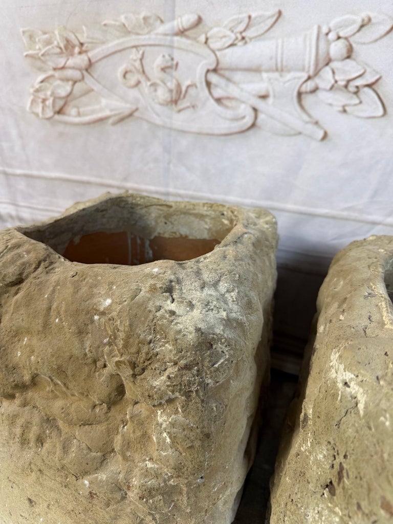 Pair of Terra Cotta Planters with Organic Sculptural Form