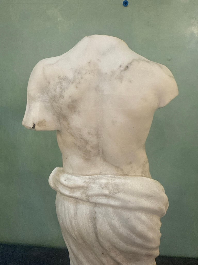 Classical Marble Male Torso Fragment on Custom Stone Base