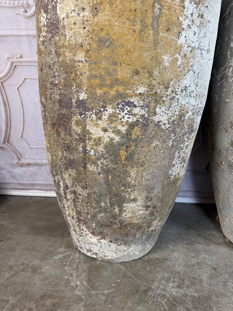 Pair of Monumental Terracotta Olive Jars with Weathered Patina