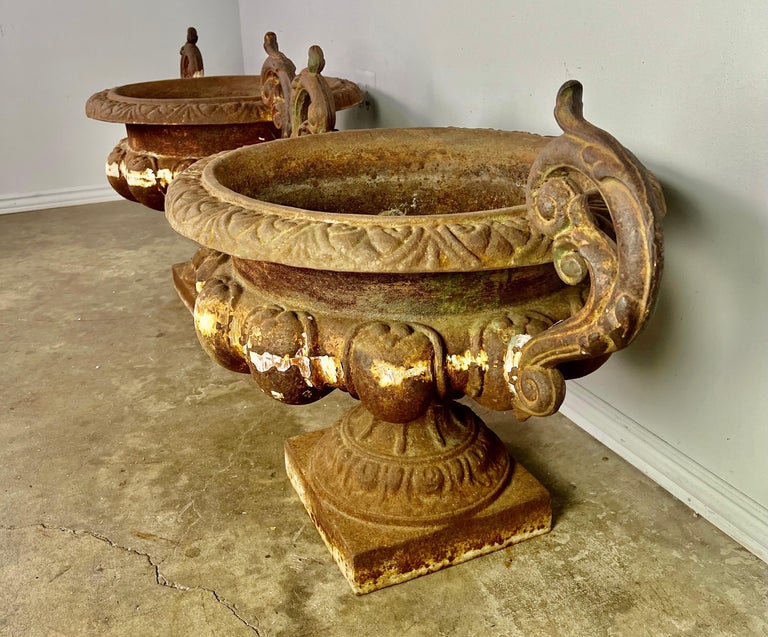 Pair of 19th Century French Cast Iron Urns