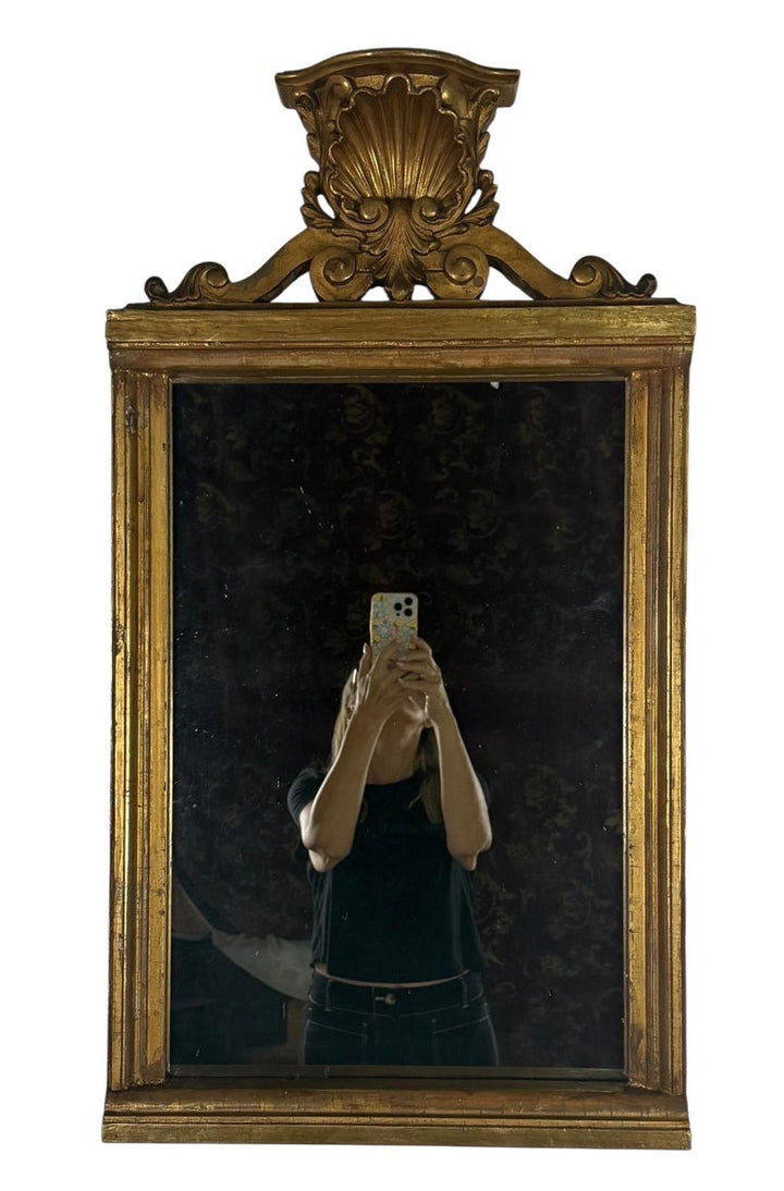 19th Century Italian Giltwood Mirror