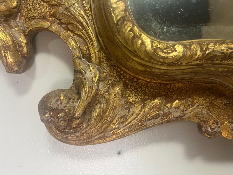 19th C. Italian Baroque Style Gilt Wood Mirror