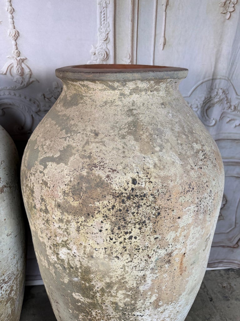 Pair of Monumental Terracotta Olive Jars with Weathered Patina