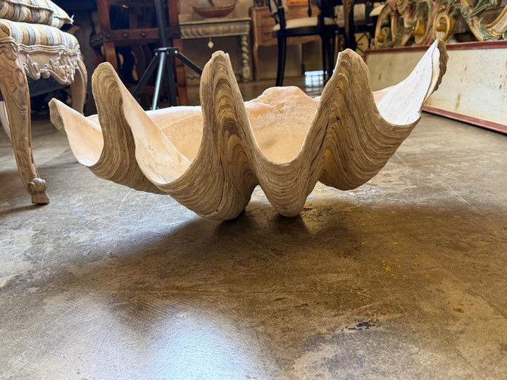 Monumental Natural Tridacna Clam Shell Planter / Jardinière