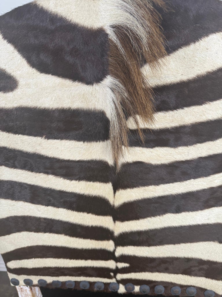 19th Century Italian Armchair with Zebra Upholstery