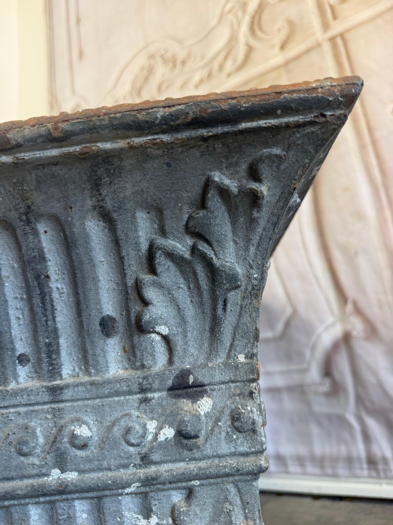 Antique French Cast Iron Jardinière Planter, Louis XVI Style, 1880