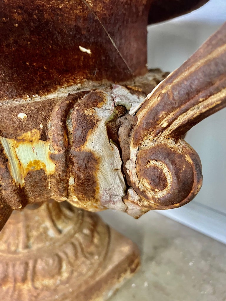 Pair of 19th Century French Cast Iron Urns