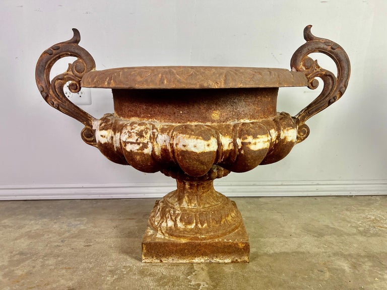 Pair of 19th Century French Cast Iron Urns