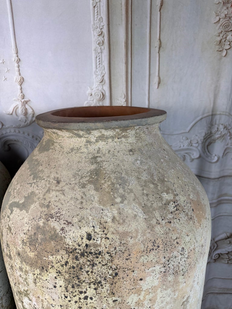 Pair of Monumental Terracotta Olive Jars with Weathered Patina
