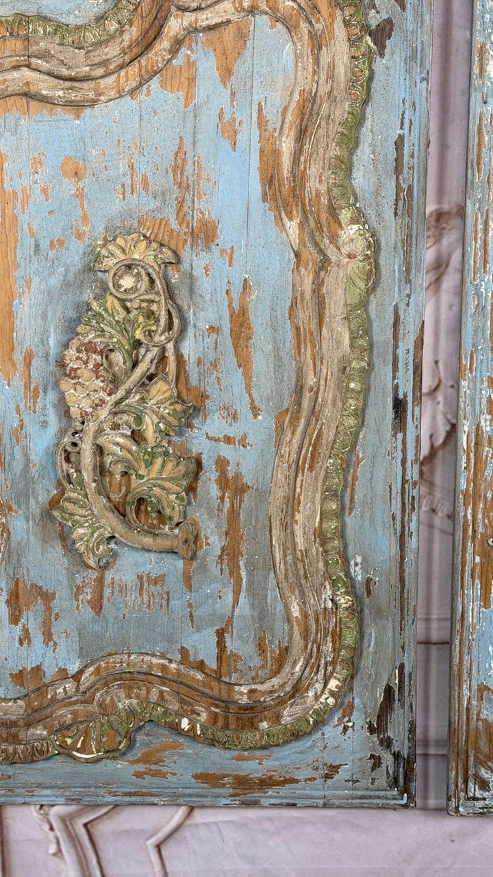 19th Century French Louis XV Rococo Doors with Distressed Wood Finish