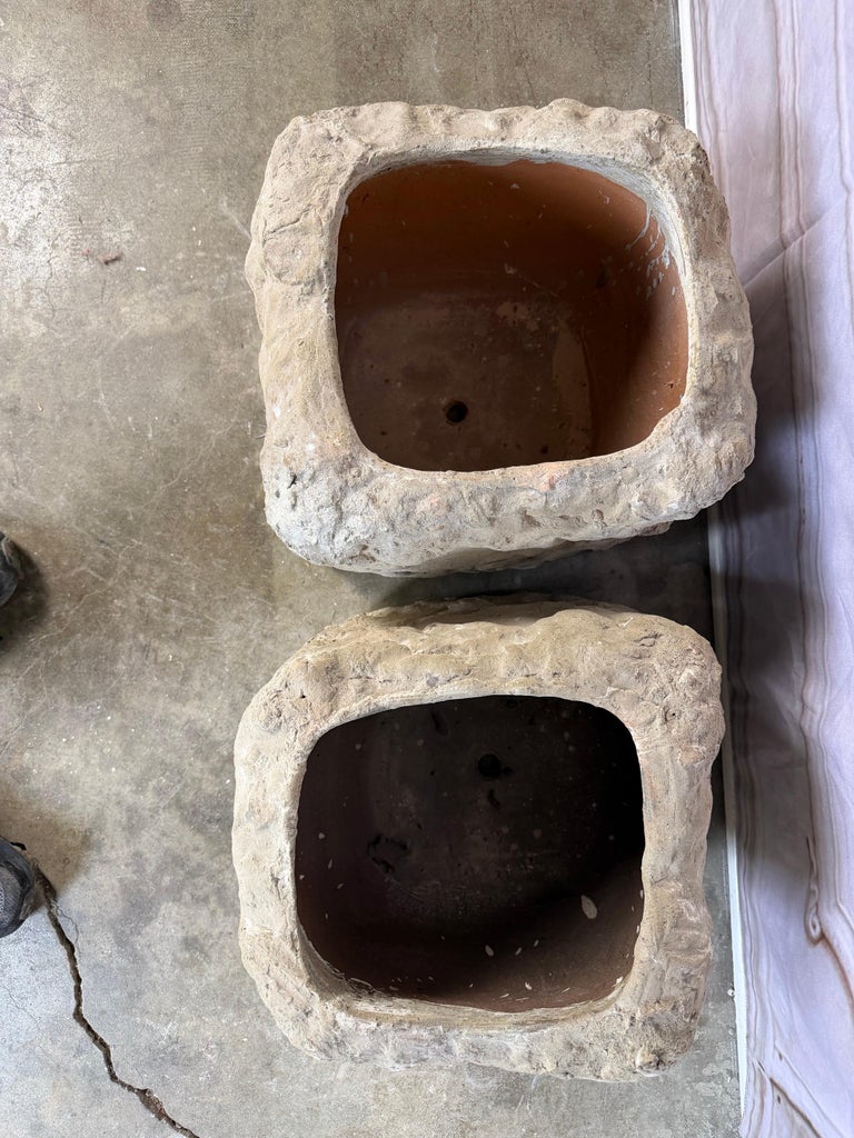 Pair of Terra Cotta Planters with Organic Sculptural Form