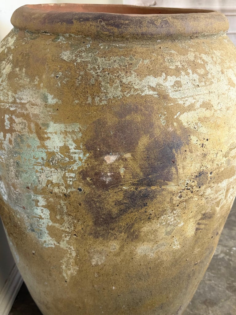 Antique Monumental Olive Jar, Terracotta with Weathered Patina