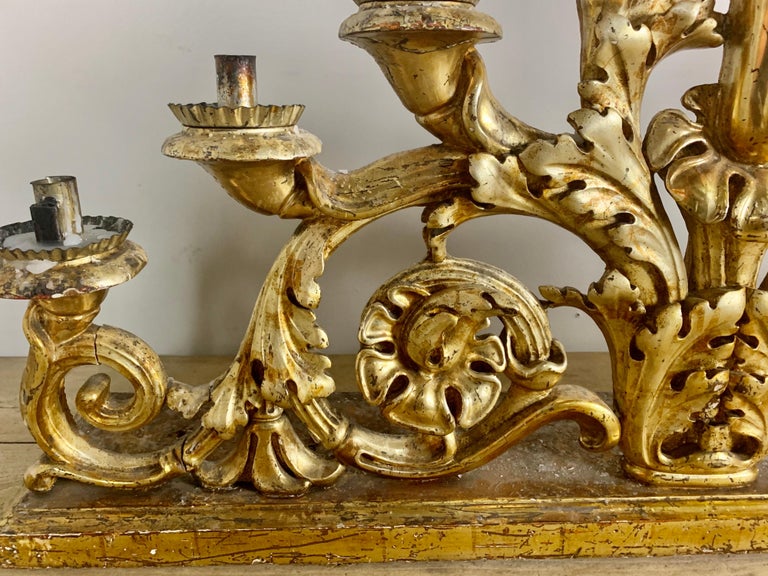 Pair of 19th Century Italian Giltwood Candleholders