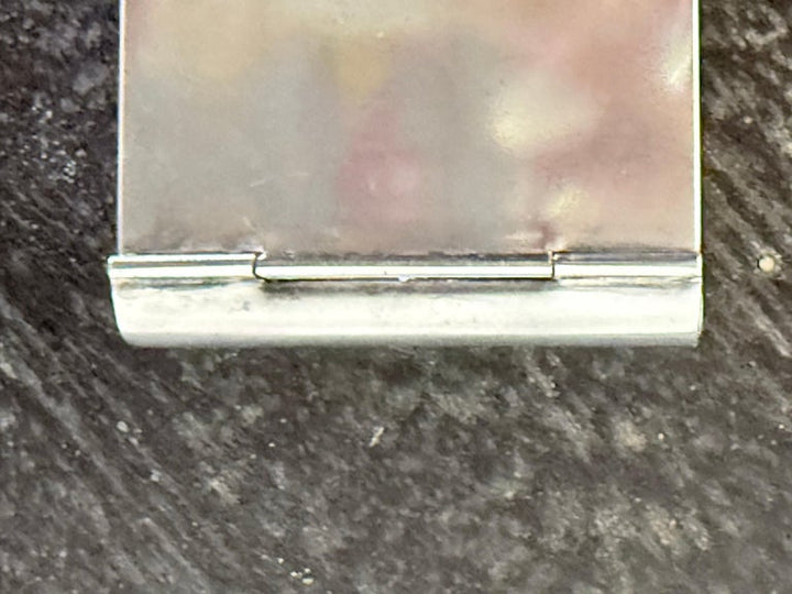 Sterling Art Nouveau Vesta Case