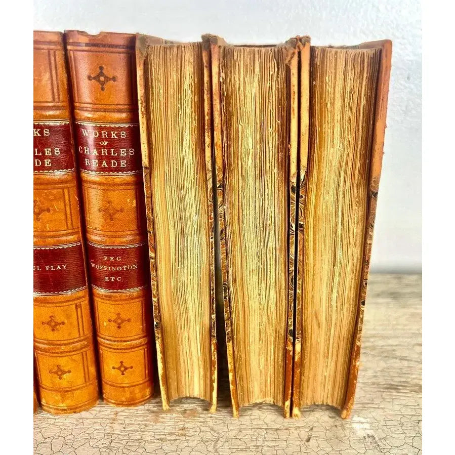 Set of Sixteen Leather Bound Book by Charles Reade