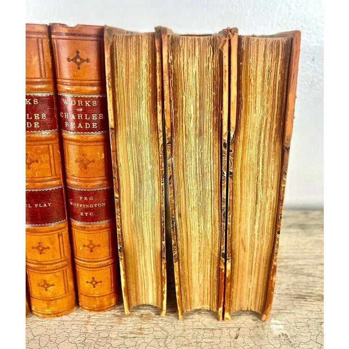 Set of Sixteen Leather Bound Book by Charles Reade